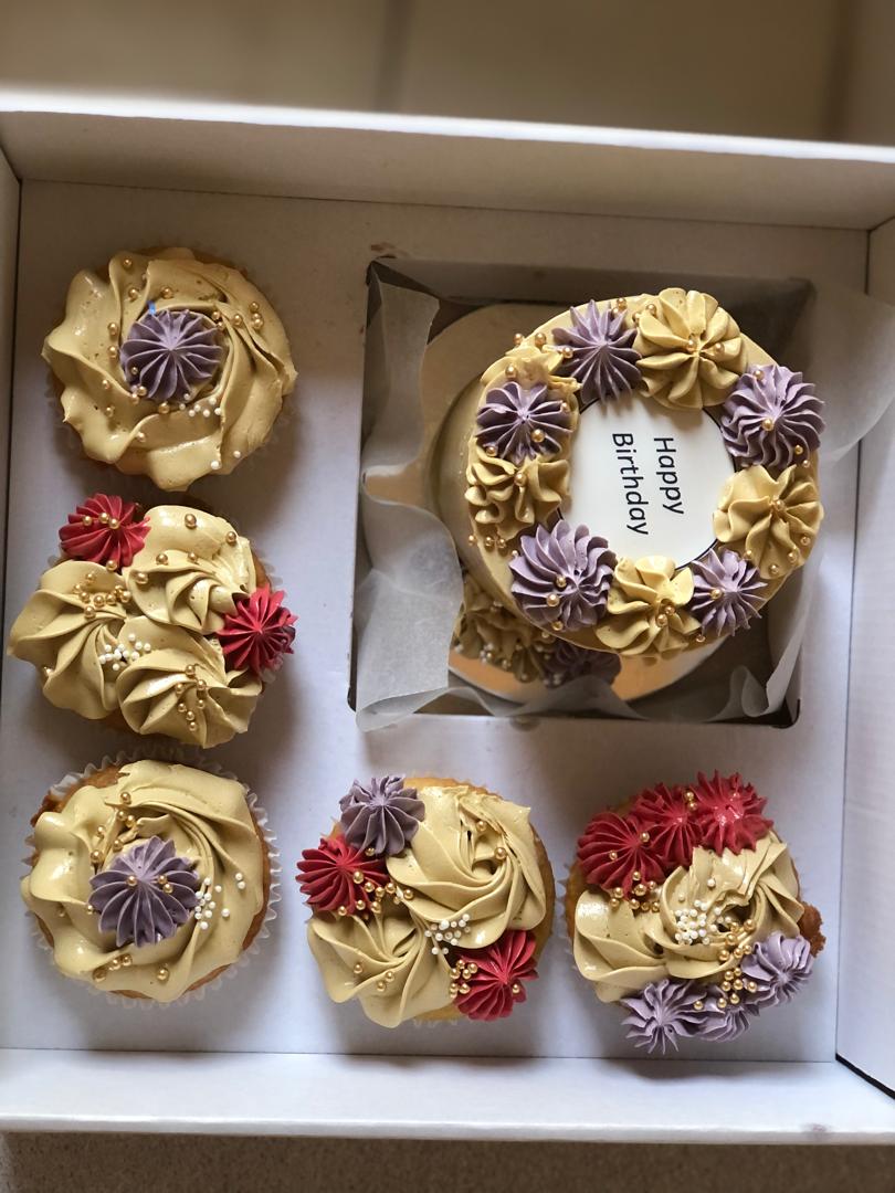 Bento Cake + 5 Cupcakes